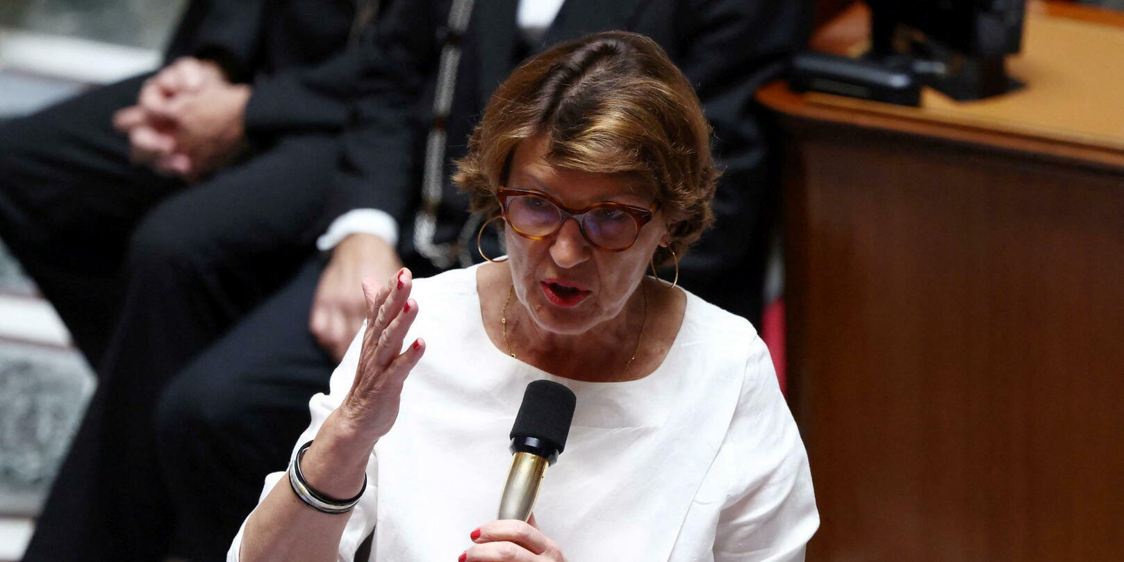 Annie Genevard : « La loi Duplomb ne constitue pas un recul environnemental »