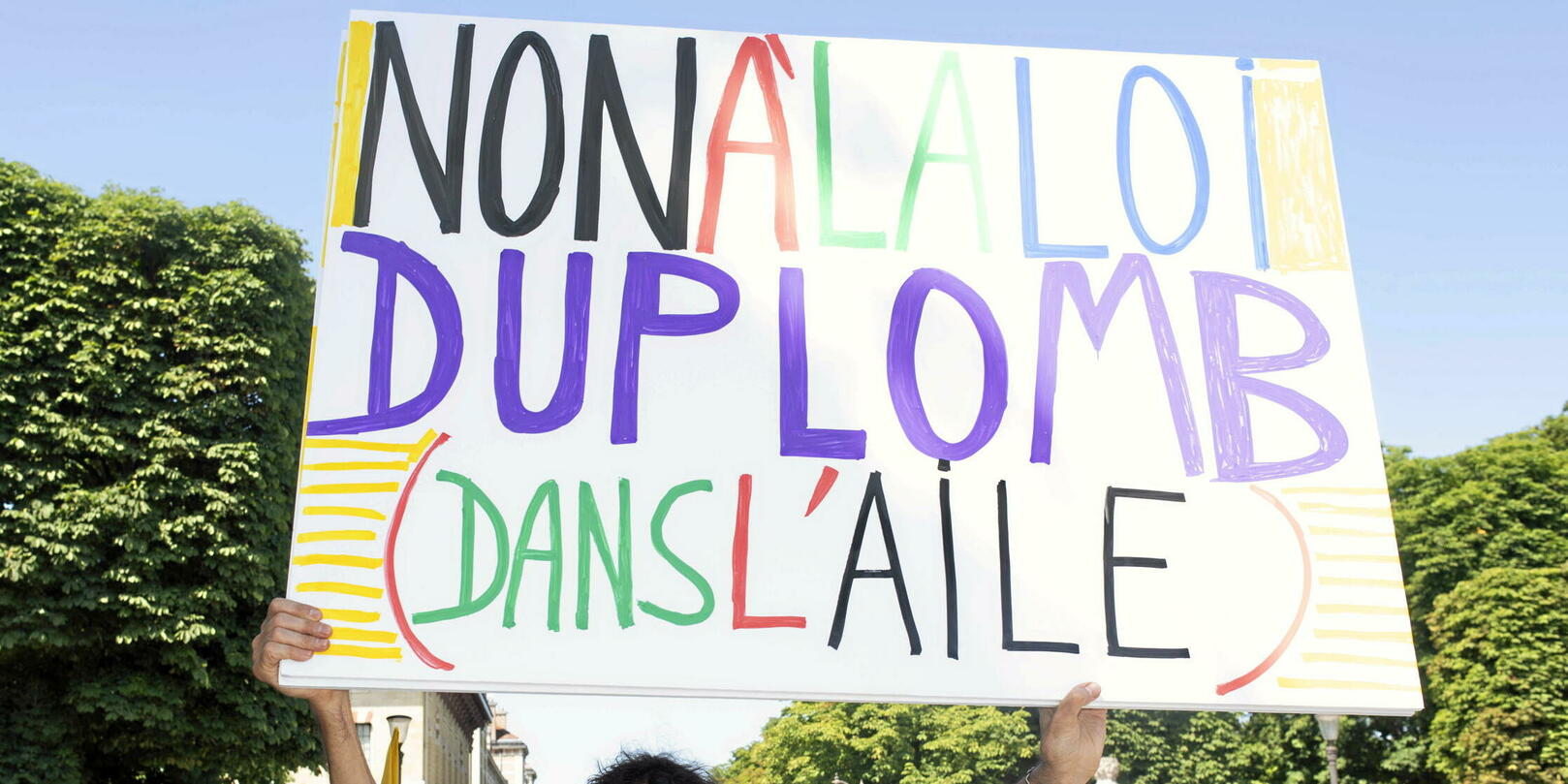 Benjamin Morel : « Le million de signatures contre la loi Duplomb n’aura aucune conséquence »