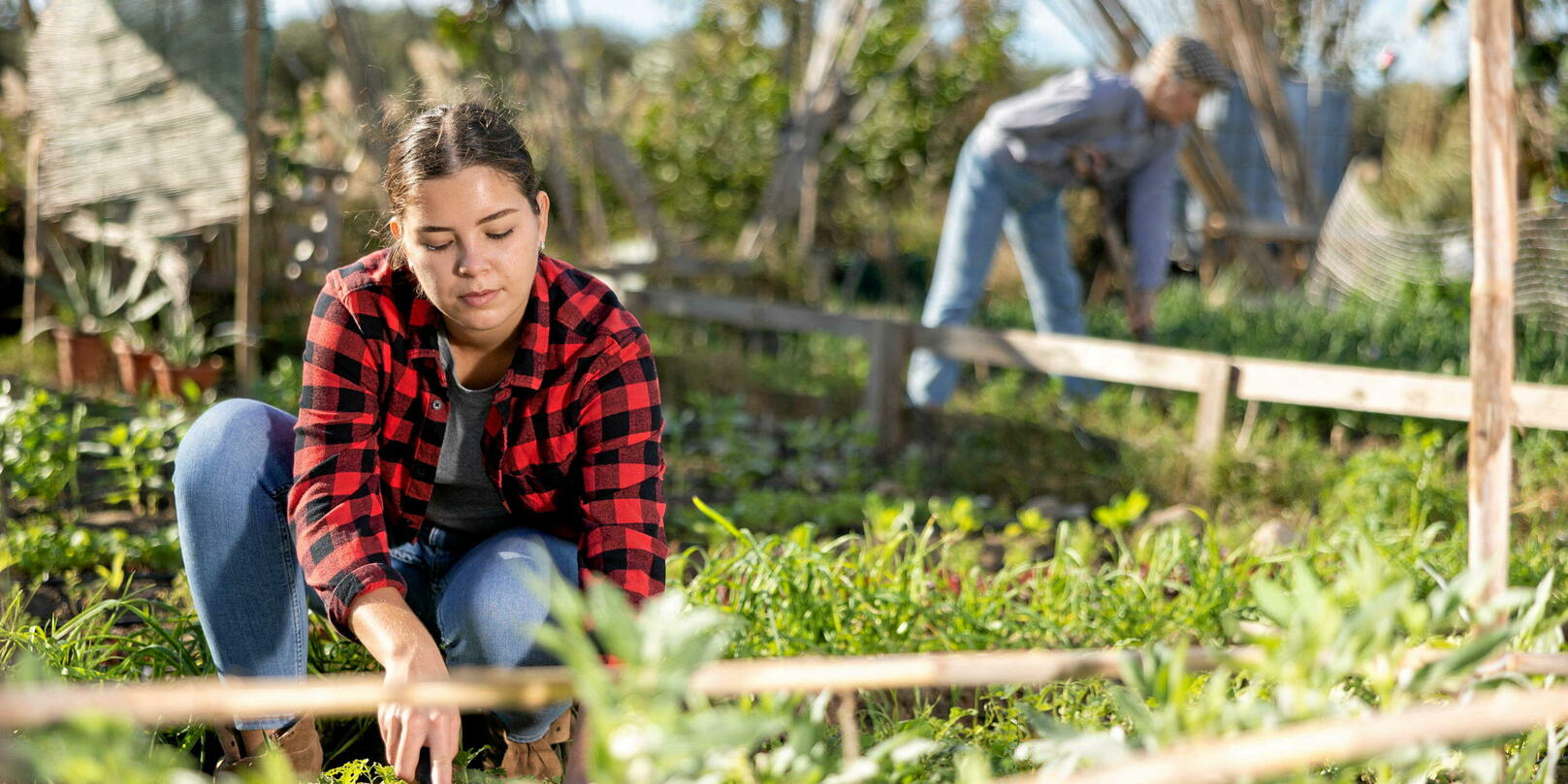 Gîte et couvert contre travail obligatoire : le nouveau paradoxe écolo