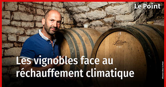 Comment le réchauffement climatique transforme les vignobles ?