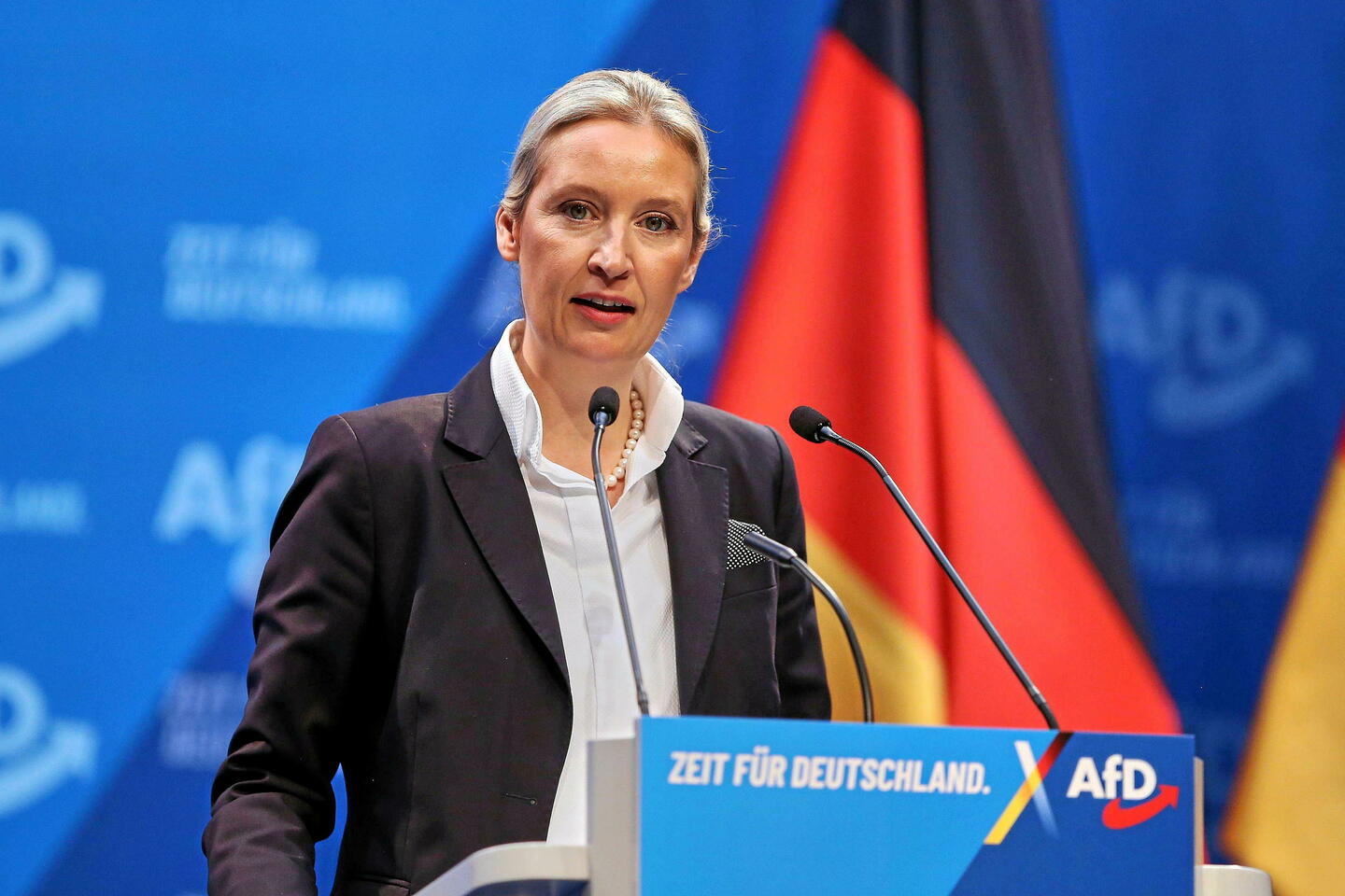 Allemagne : théories complotistes après la mort de 7 candidats de l'AfD