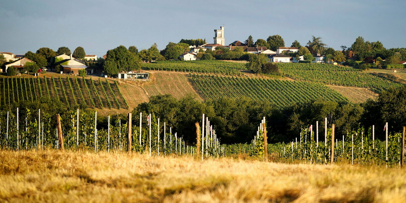 Spécial vin : Bergerac, le vignoble culbuto