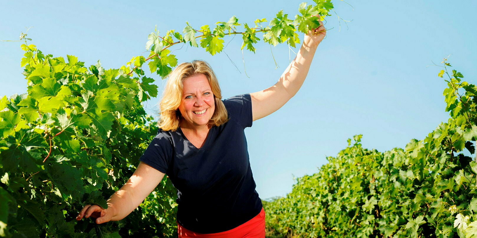 Spécial vins – Chinon, les Boulaies et les Picasses