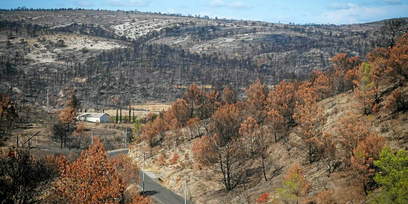 « Tout le monde est coupable » : le procès impossible des incendies de l’Aude