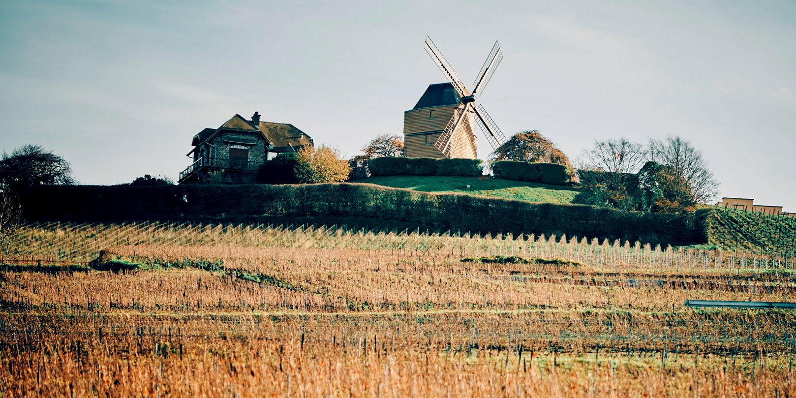 Découvrez notre sélection de champagnes de vignerons